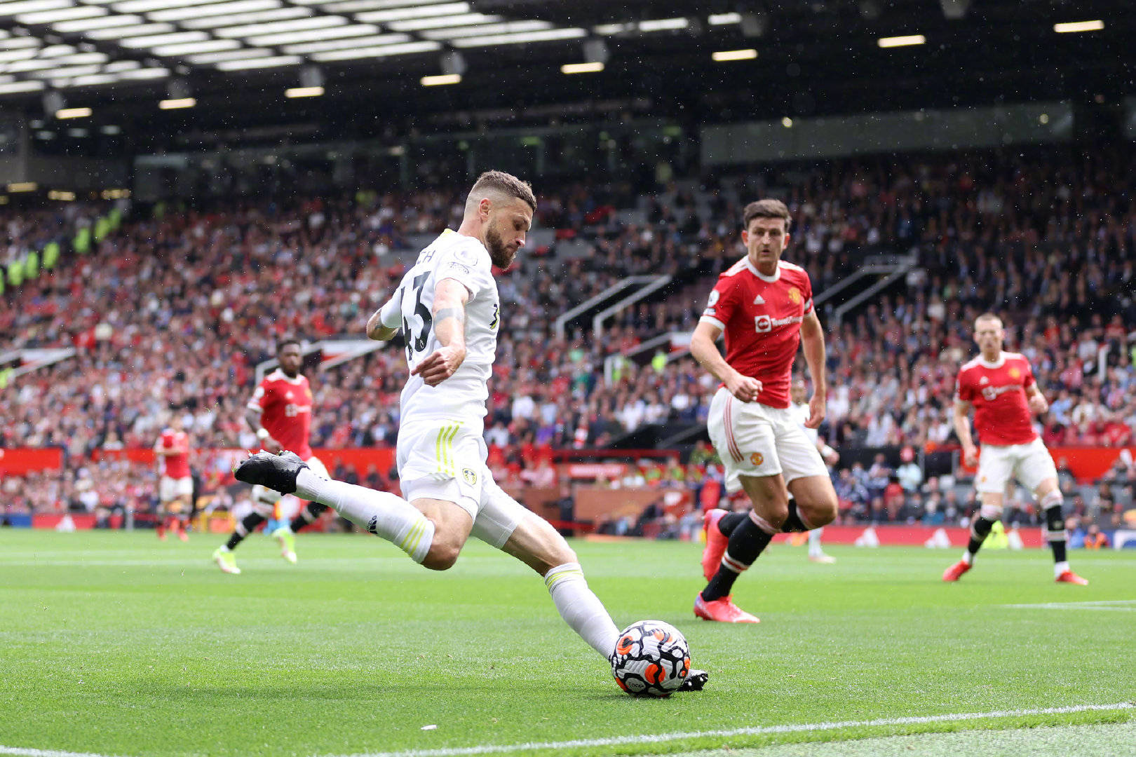 面有相似之 面有相似之