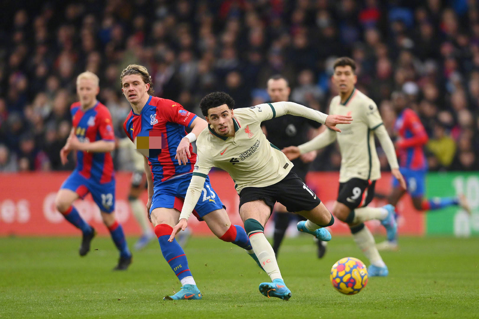 激发球迷的 激发球迷的